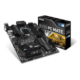 B250 PC MATE
